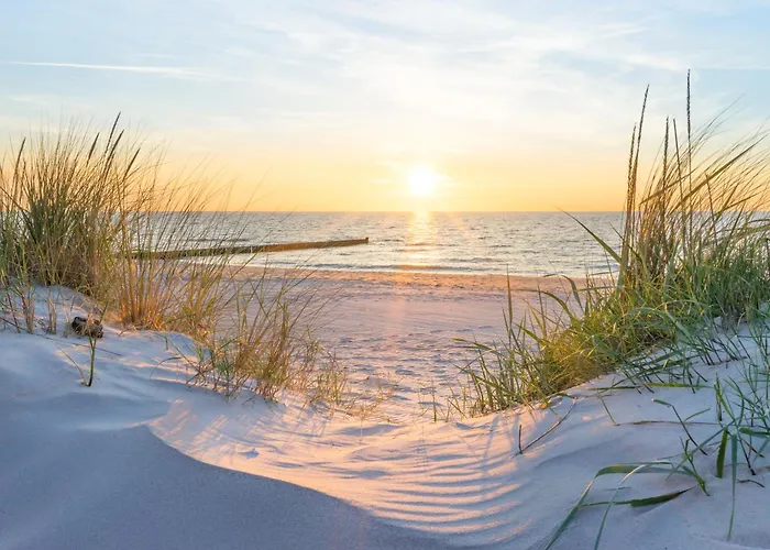 Luise 01 아파트 *